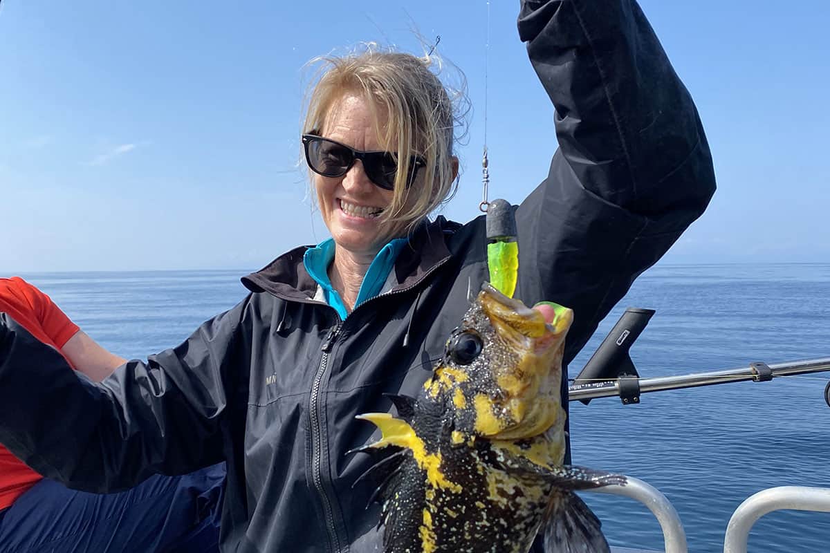 yellow and black fish