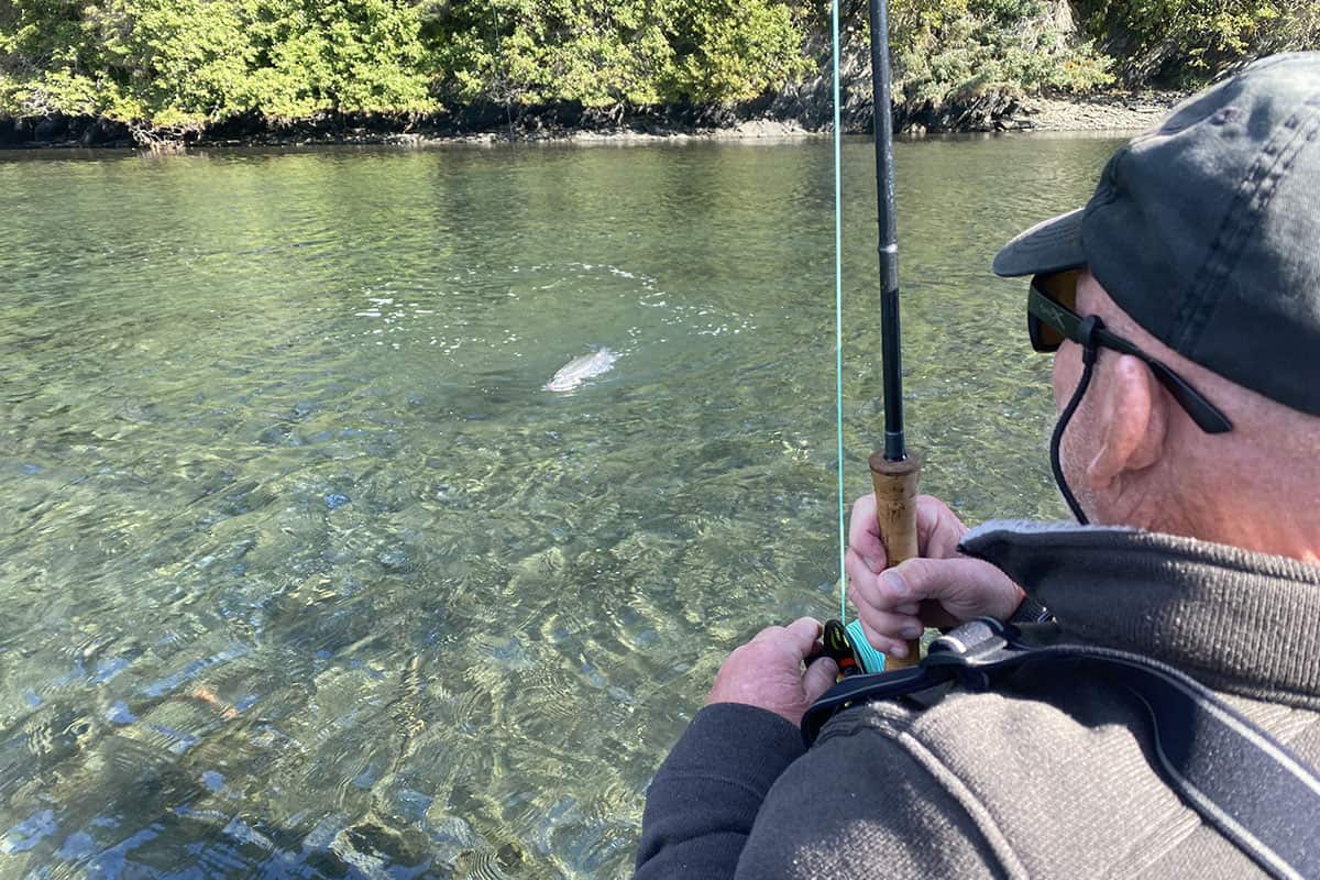fly fishing catch