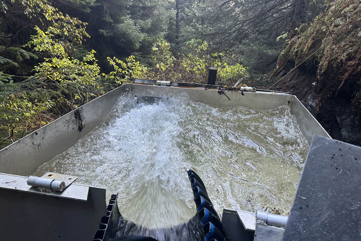 Water flowing into a metal channel in a forested area.
