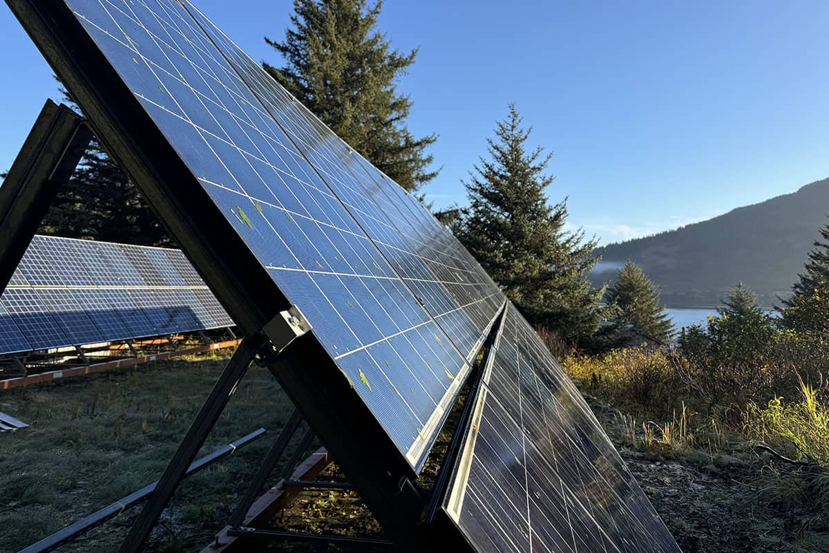 Solar panels installed outdoors with trees and mountains in the background.