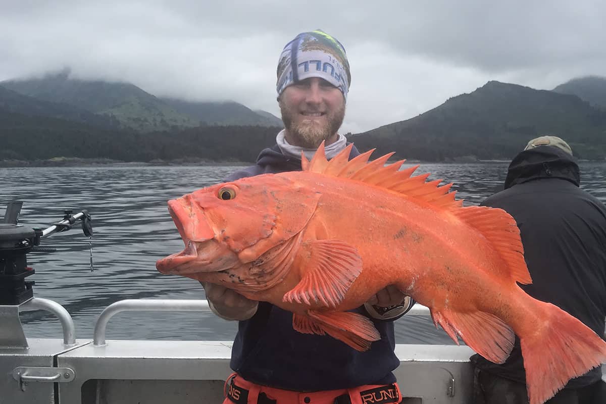 sun fish