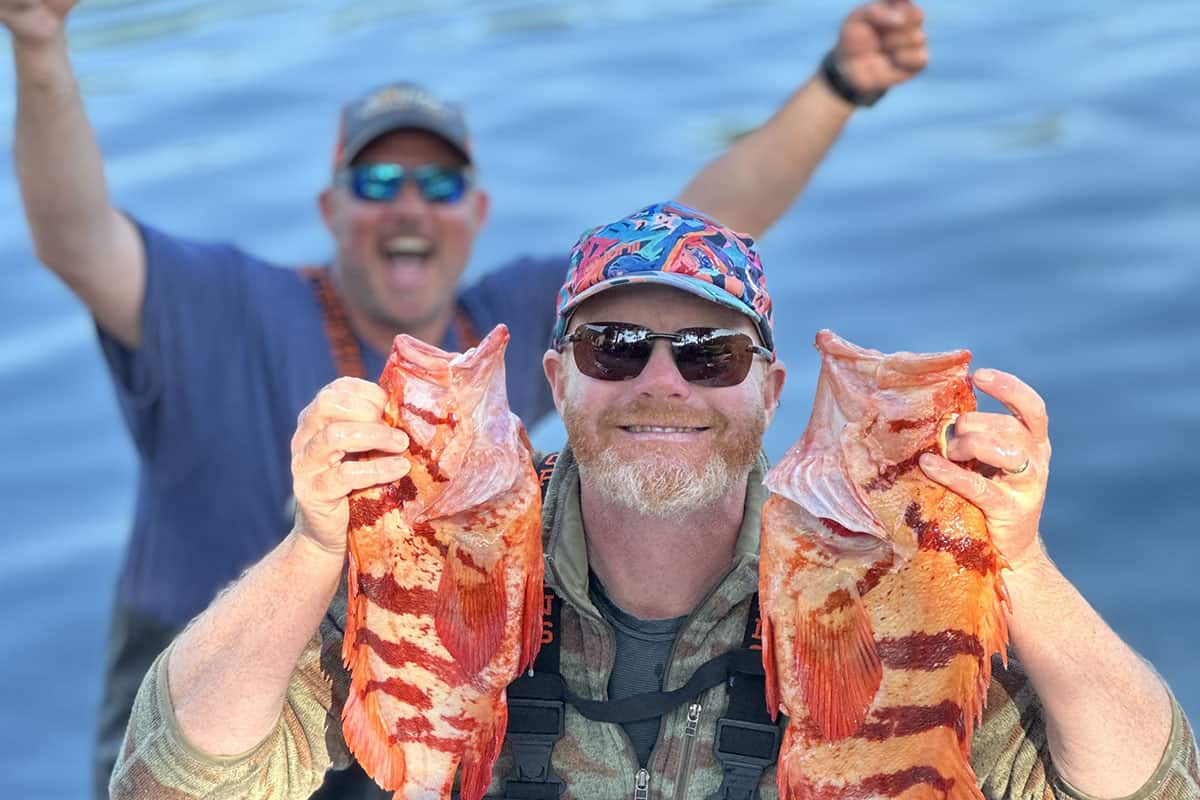 fish!